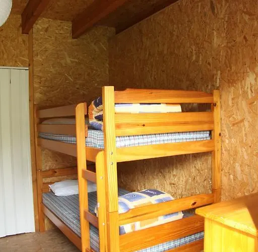 Dharma Gaia * Ambroa